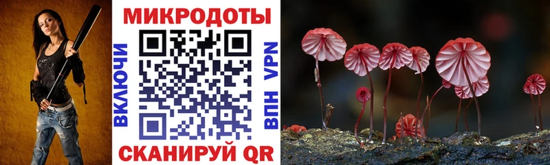 сколько стоит  Рославль  Псилоцибиновые грибы мицелий 