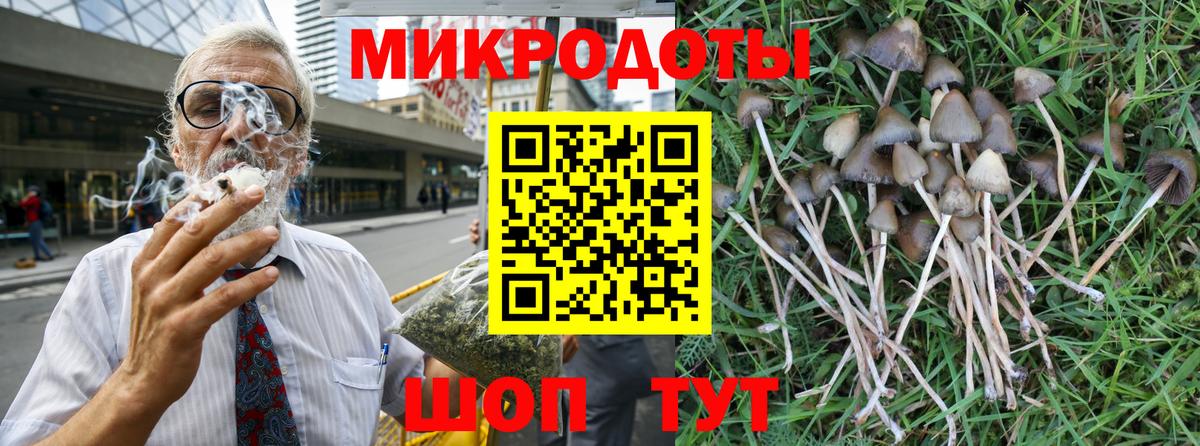 Галлюциногенные грибы MAGIC MUSHROOMS  Галлюциногенные грибы Psilocybine cubensis  Рославль  Вход с VPN 